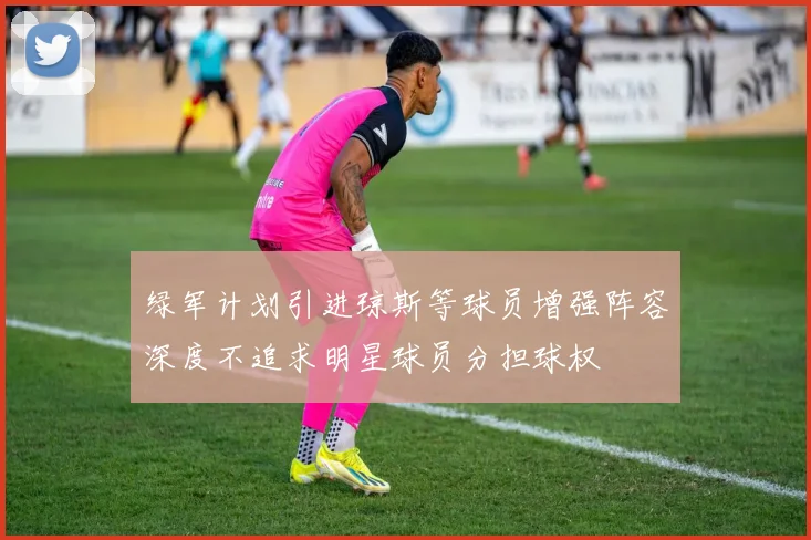 绿军计划引进琼斯等球员增强阵容深度不追求明星球员分担球权