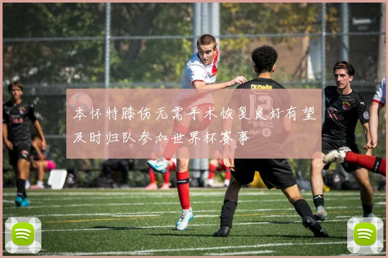 本怀特膝伤无需手术恢复良好有望及时归队参加世界杯赛事